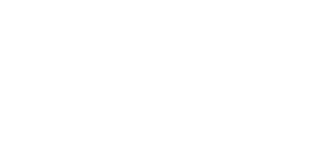 logo_flip_SG
